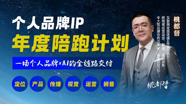 个人IP年度陪跑计划